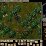 MsV6