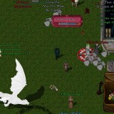 wNdg