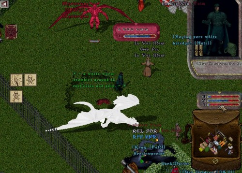 wVQt.jpg