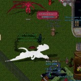 wVQt
