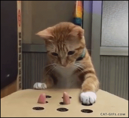 qvcl.gif