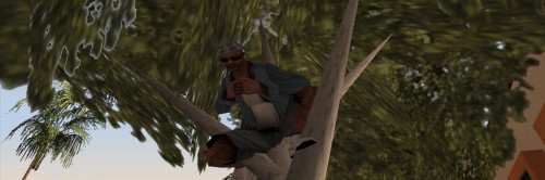 YHS3.jpg