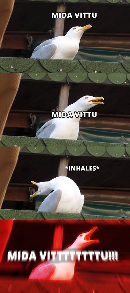 tRMg.jpg