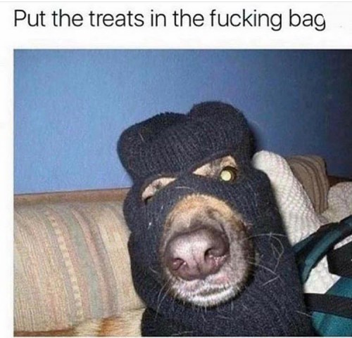 tpt9.jpg