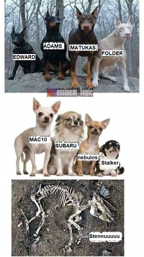 s6qS.png