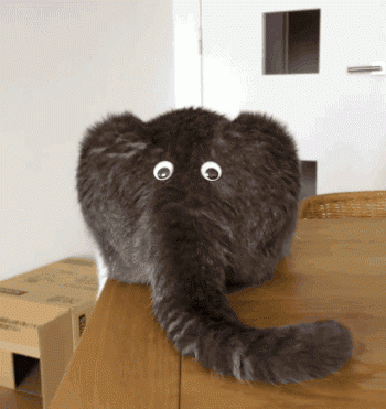 f5M18.gif